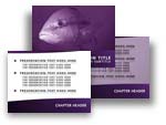 Download the Big Fish PowerPoint Template