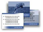Download the Dolphin PowerPoint Template