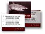 Download the Shark PowerPoint Template