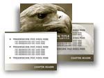 Download the Falcon PowerPoint Template